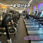 짐고GYMGO