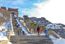 삼성여행사 대구