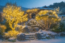 팔봉수피아 카페