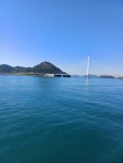 대유민박