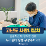 닥터플란트치과의원