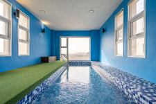 아리아나스크린골프독채펜션