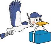 트랜스월드익스프레스