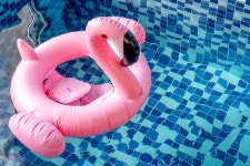 아리아나스크린골프독채펜션