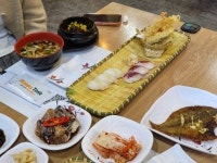 성당물회.회타운