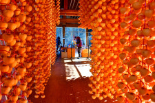 누리는농부 농업회사법인