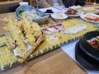 성당물회.회타운