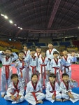 박사태권도