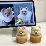 브라더스스토어패티바이번케이트윈 | 페트윈