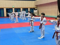 박사태권도