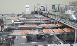 대풍농장영농조합법인