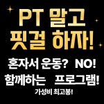 하이브핏 트레이닝 센터
