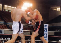 브레인 킥복싱체육관