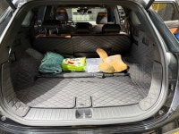 조이카 광택 세차장