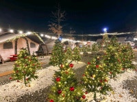 계룡산글램핑 파크오브드림