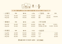 서산 고양이 강아지 미용 모들펫살롱