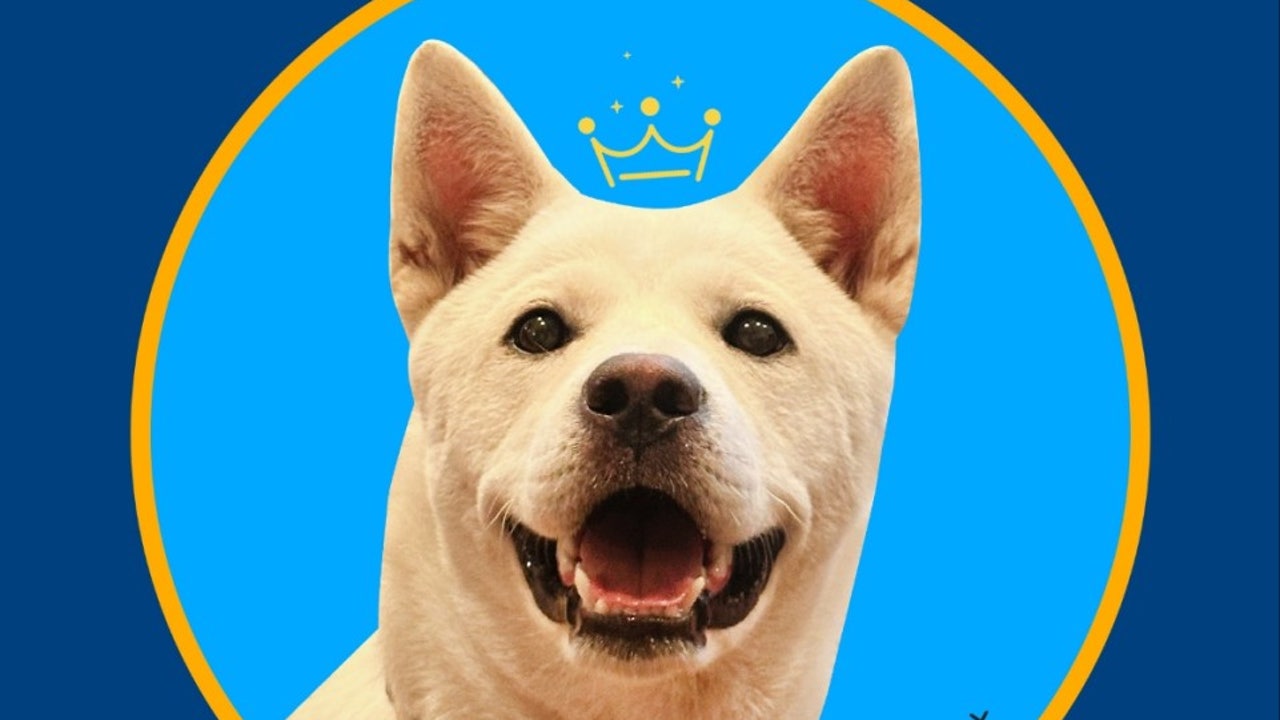 바른고기