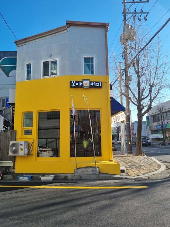 모아커피 사진
