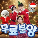 인천강아지분양 테디럽