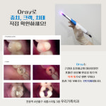 우리가족치과의원