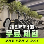 원펀짐