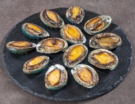 동해수산회센타 제주본점