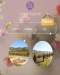 전남순천1004반려동물장례식장