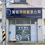 웰빙 카이로포스처
