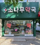 소나무약국