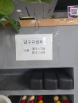 둘리당구카페