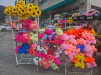 서종팜서종종묘사