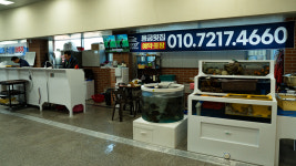 신전국제용궁수산