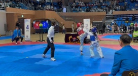 고려대호태권도