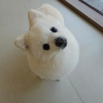 몽구름