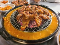 신마포갈매기 고강점