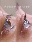 더올림