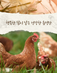 좋은계란할인점 평택합정점