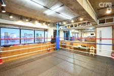 임팩트 복싱 매니지먼트