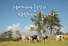 매일유업 기장가정배달대리점