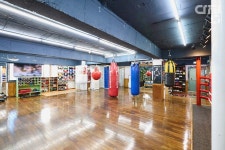 임팩트 복싱 매니지먼트