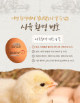 좋은계란할인점 평택합정점