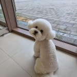 몽구름