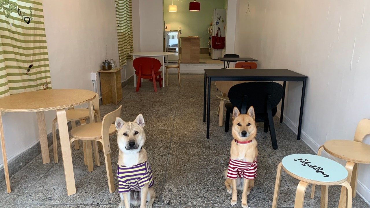 우포포이