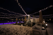 풀스테이 스테이펫 홍천