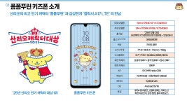 KT 이룸텔레콤 부사점