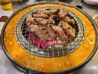 신마포갈매기 고강점