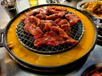 신마포갈매기 고강점
