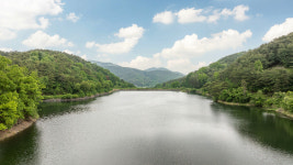 청도 엘라고 풀빌라 펜션