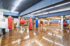 임팩트 복싱 매니지먼트