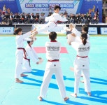 광무태권도체육관